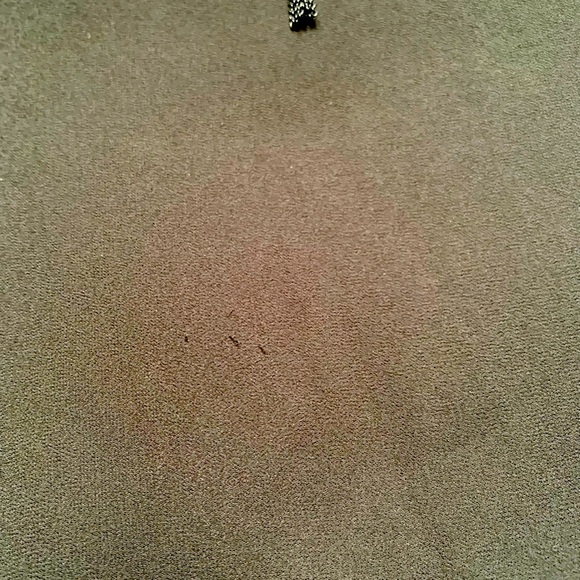 Naked Zebra Little Black Dress - Picture 9 of 10